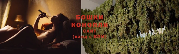 ГАЛЛЮЦИНОГЕННЫЕ ГРИБЫ Белоозёрский