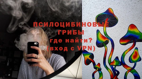 ГАЛЛЮЦИНОГЕННЫЕ ГРИБЫ Белоозёрский