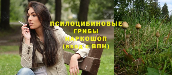 амфетамин Белокуриха