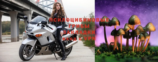 амфетамин Белокуриха