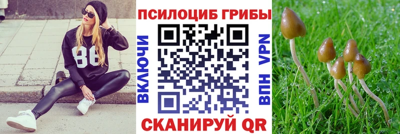 Псилоцибиновые грибы Cubensis  дарнет шоп  Велиж 